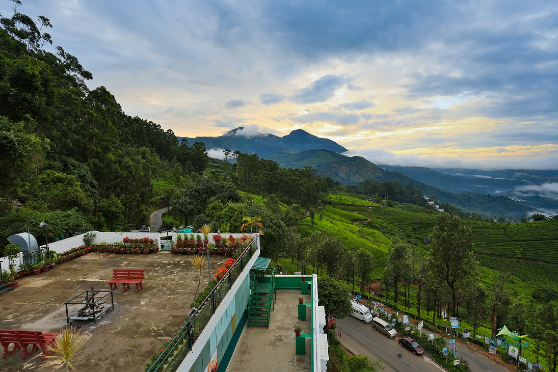 Misty Mountain Resort Munnar, Resorts in Munnar, Top 10 Resort in Munnar, Standard Rooms, Valley View Rooms, Deluxe Rooms, Restaurants, Galaxy  Restaurant, Gaia Restaurant, Misty Mountain